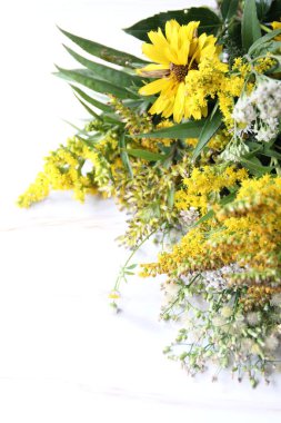 white and yellow, summer meadow flower, field flower, other plants from the bouquet in the background