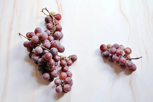 Grapes Bunch Grapes Dark Grapes Twig Purple Grapes — Fotografia de Stock