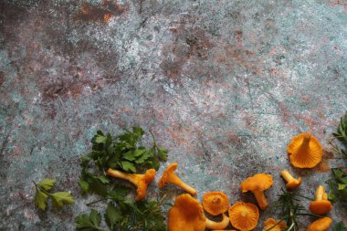 small mushrooms chanterelles, fresh chanterelles, yellow mushrooms