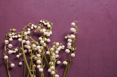 Düzenlenmiş vadi zambakları, arka planda bahar çiçekleri, vadinin güzel kokulu zambakları.