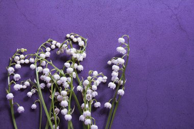 Düzenlenmiş vadi zambakları, arka planda bahar çiçekleri, vadinin güzel kokulu zambakları.