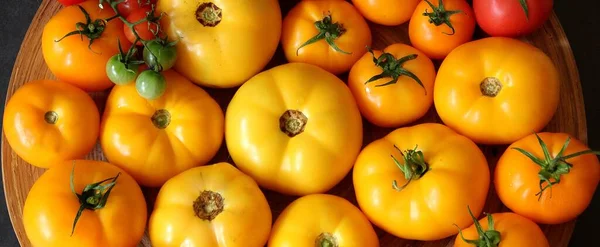 Färgglada Tomater Gula Och Röda Tomater Sommargrönsaker Tomater Arrangerade Färger — Stockfoto