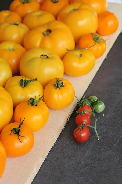 Färgglada Tomater Gula Och Röda Tomater Sommargrönsaker Tomater Arrangerade Färger — Stockfoto