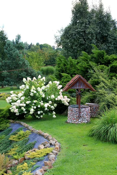 Bien Forrado Con Guijarros Jardín Con Flores Pozo Hortensia Blanca —  Fotos de Stock