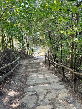 Ağaçlar arasında bir patika, ormanda bir yol, taş bir yol.