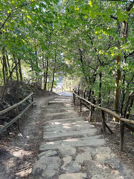 Ağaçlar arasında bir patika, ormanda bir yol, taş bir yol.