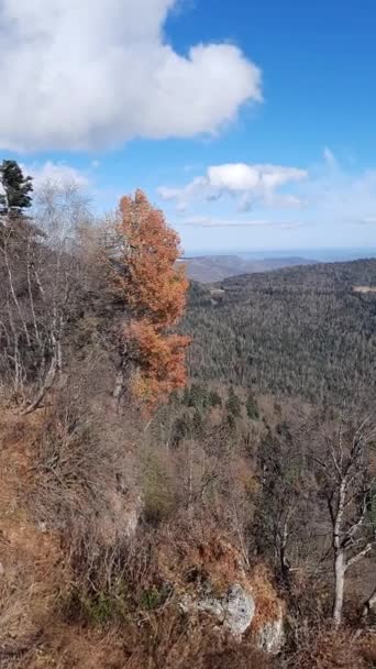 Beautiful View Endless Autumn Forests Mountains — Stock Video