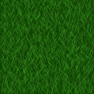 Mükemmel çim arka plan. Yeşil çim. Güzel taze doku.