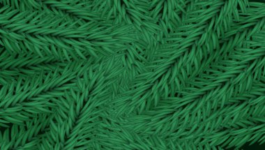 Noel Ağacının Dönüşü Yeşil Dalları