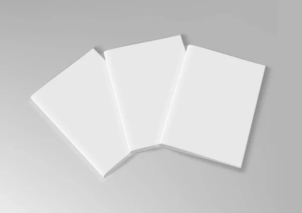 Realistischer Blanko Clear A4 Doppelfaltpapier Broschüre — Stockvektor