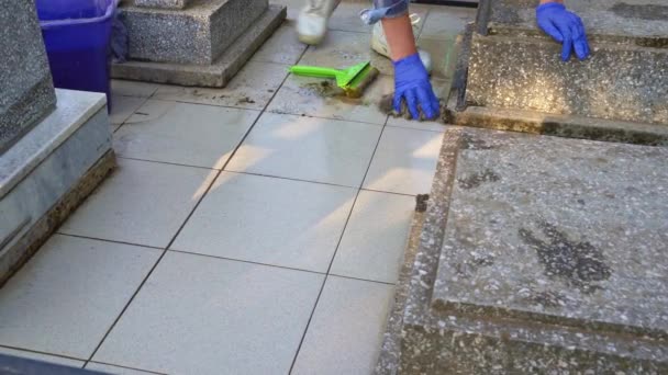 Cleaning cemetery. A woman washes grey paving slabs and monument grave with rag. — Stock Video