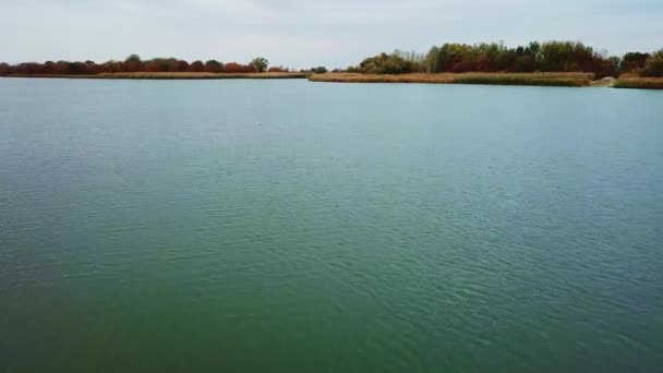 河流上的秋天风景。平静的河面，没有风的天气. — 图库视频影像