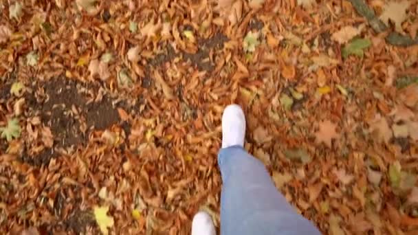 Чоловічі ноги в білих кросівках ходять на сухих опале листя . — стокове відео