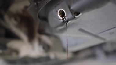Arabadaki atık yağı boşaltılıyor. Bir benzin istasyonunda bakım.