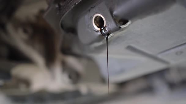 Drenar el aceite residual del coche. mantenimiento en una estación de servicio. — Vídeos de Stock