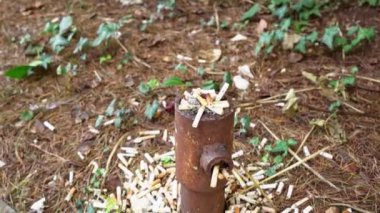Paslı sütunun yanında bir sürü sigara izmariti ve enkaz var.