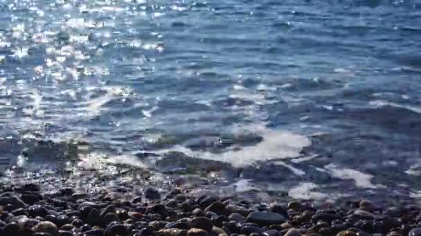 Θαλάσσια κάπα. Μικρά κύματα χτυπούν την ακτή σε μια βοτσαλωτή παραλία. — Αρχείο Βίντεο