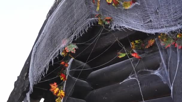 Decoración de Halloween en forma de gasa de tela, telarañas, hojas — Vídeos de Stock