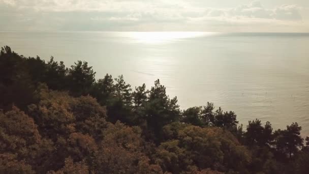 Sobrevolando el bosque en las montañas junto al mar. paisaje marino. — Vídeos de Stock