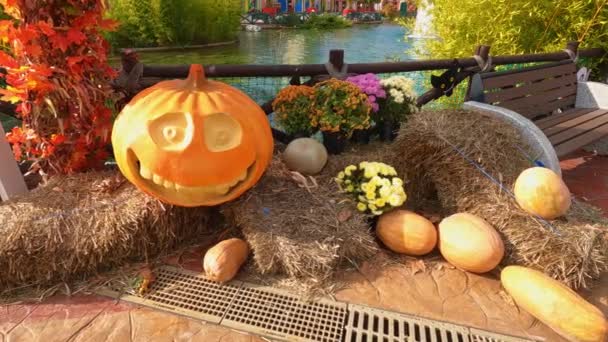 Abóbora, flores, palheiro-decoração para celebrar o Halloween no parque — Vídeo de Stock