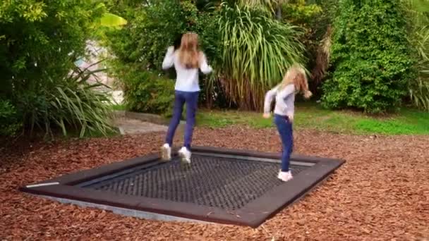 Две девушки прыгают на батуте в парке. — стоковое видео
