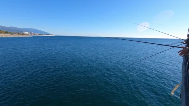 Cannes à pêche dans la mer. poissons en eau de mer claire. — Video