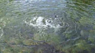 Su, temiz su ve kayalık dipli yapay bir gölete girer.