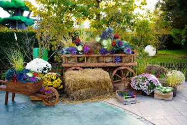 Bahçedeki sonbahar manzarası ya da Cadılar Bayramı için park. 