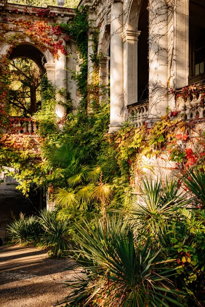 Eski terk edilmiş Ordzhonikidze Sanatoryumu. SSCB 'nin mimarisi. Büyük, güzel, boş bir bina. Rusya, Soçi, 11.2020.