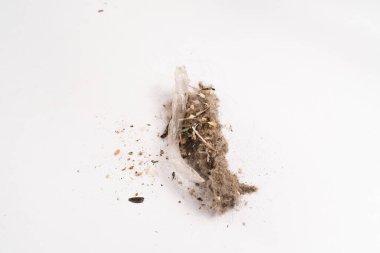 Elektrik süpürgesinin konteynırından beyaz yüzeye çöp dökülüyor..