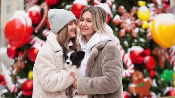 Anya és lánya kutyával Papillon közel karácsonyfa az utcán. fotózás — Stock videók