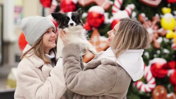Anya és lánya kutyával Papillon közel karácsonyfa az utcán. fotózás — Stock videók