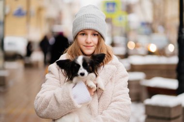 Kışın Noel sokaklarında kollarında Papillon köpeği olan güzel bir kız.