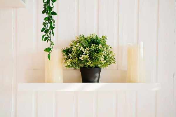 Bunga buatan dalam pot di rak-rak dinding putih. — Stok Foto