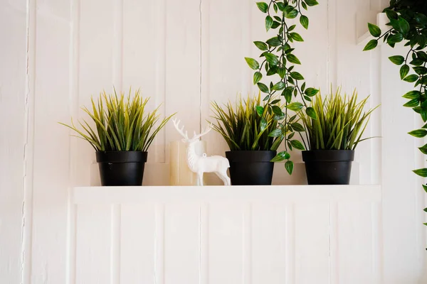 Fleurs artificielles dans des pots sur des étagères contre le mur blanc. — Photo