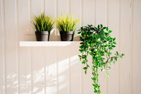 Fleurs artificielles dans des pots sur des étagères contre le mur blanc. — Photo