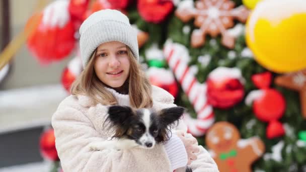 Девочка с собакой Папиллон на руках на улицах зимнего Рождества — стоковое видео
