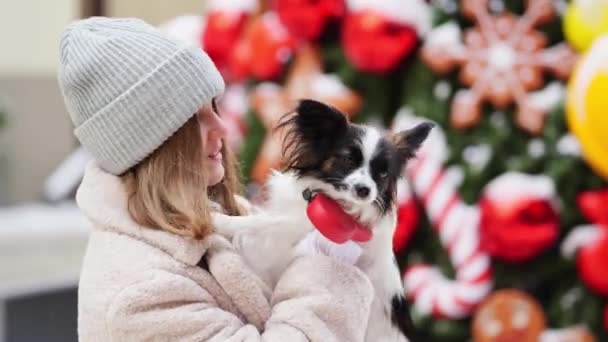 Vacker flicka med hund Papillon i famnen på vintern julen gator — Stockvideo