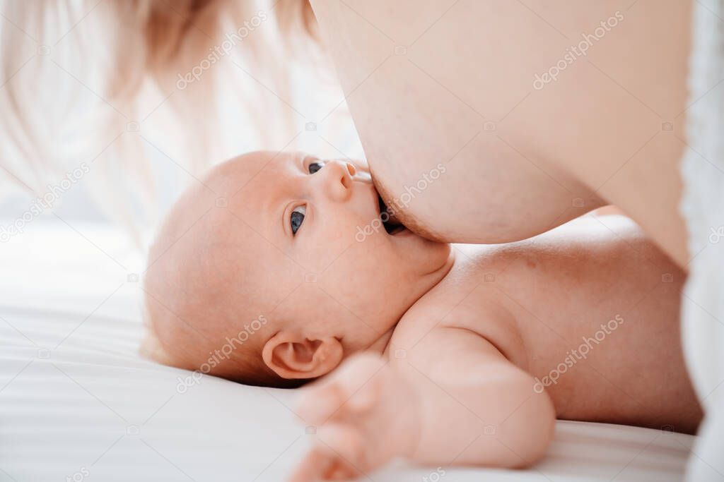 mother feeds baby. breast-feeding. happy motherhood and healthy nutrition.