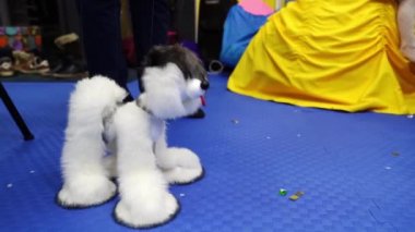 Köpek kuklası. Tatillerde çocukları eğlendirmek için oyuncaklar. 