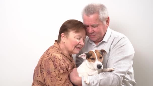 Una pareja de ancianos con un perro sobre un fondo blanco. — Vídeos de Stock