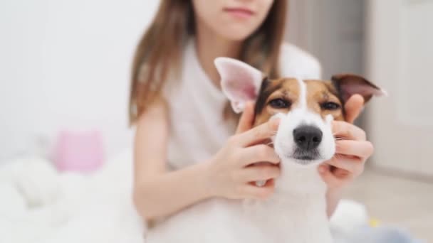 Dospívající dívka si ráno hraje doma se psem. přátelství se zvířaty. — Stock video
