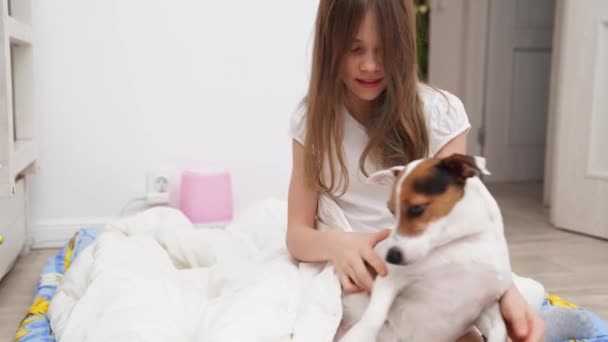 Teen girl plays in morning at home with dog. dog is overweight, it is heavy. — Stock Video