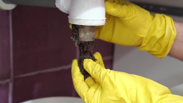 Demontering av sifonen under diskbänken för att eliminera trängsel från smuts och hår. — Stockvideo