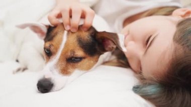 Genç bir kız köpeğiyle yatakta uyur. Jack Russell Teriyeri. 