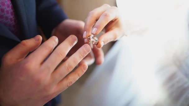 Brud- och brudgummen byter ringar. bröllopstraditioner — Stockvideo