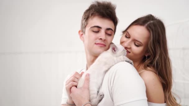 작고 흰 새끼 고양이를 안고 있는 아름다운 연인 부부. — 비디오