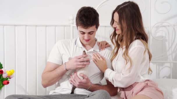 Una hermosa pareja de jóvenes amantes sosteniendo un pequeño gatito blanco sentado en la cama — Vídeos de Stock