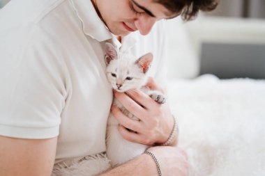 Genç bir adam küçük beyaz bir kedi yavrusu tutuyor ve onu okşuyor. nevsky maskeli kedi.