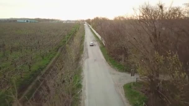 Az autó végigmegy a falusi úton a mezőgazdasági épületek és kertek mentén. — Stock videók